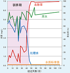 除氨氮性能