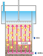 W冲洗