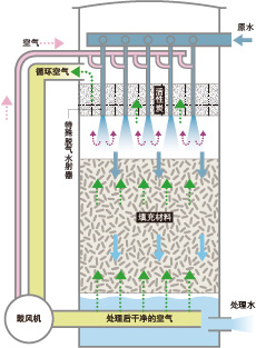 AERSYS的构造