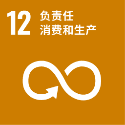 12.负责任的消费和生产