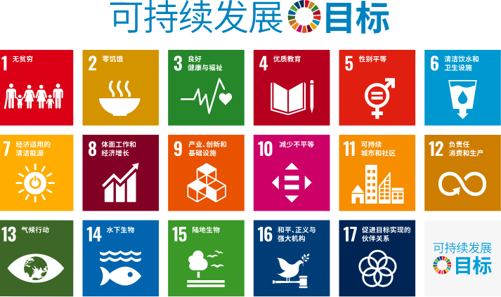 全球实现可持续发展目标（SDGs）的措施