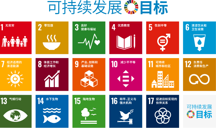 全球实现可持续发展目标(SDGs)的措施