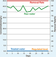 Iron Removal