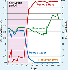 Manganese Removal