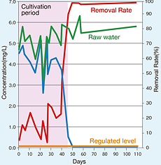 Ammonia Nitrogen Removal