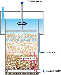 P Backwash